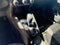 2022 Nissan Kicks S