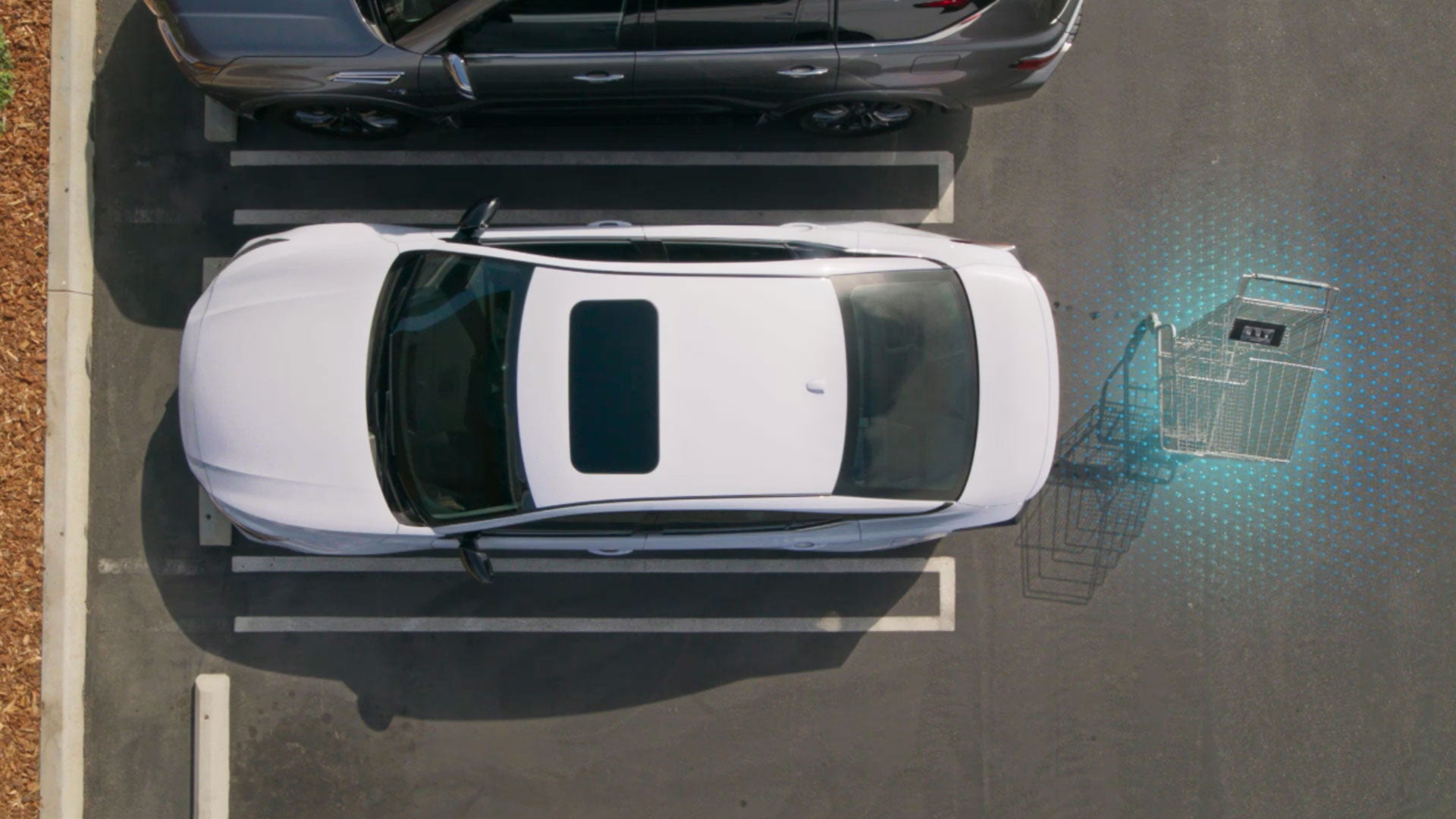 2026 Nissan Altima | Royal Nissan in Baton Rouge, LA